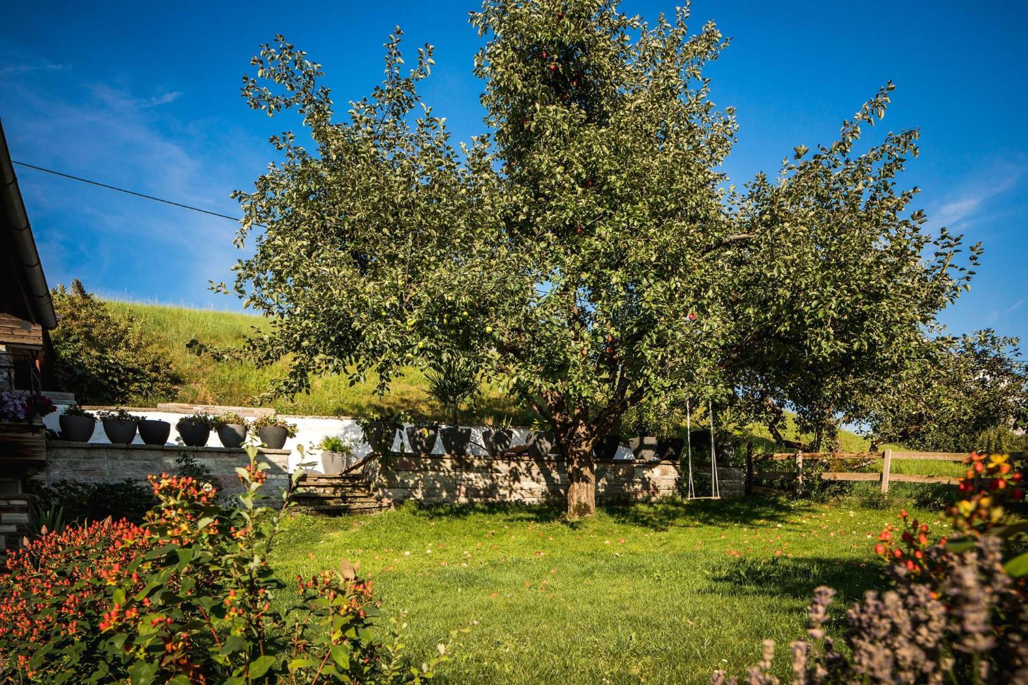 דירות קוסן Haus Bichler מראה חיצוני תמונה