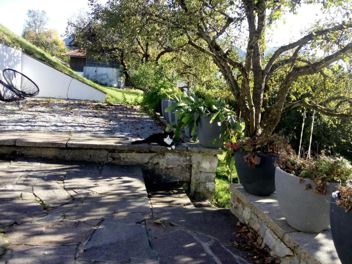 דירות קוסן Haus Bichler מראה חיצוני תמונה